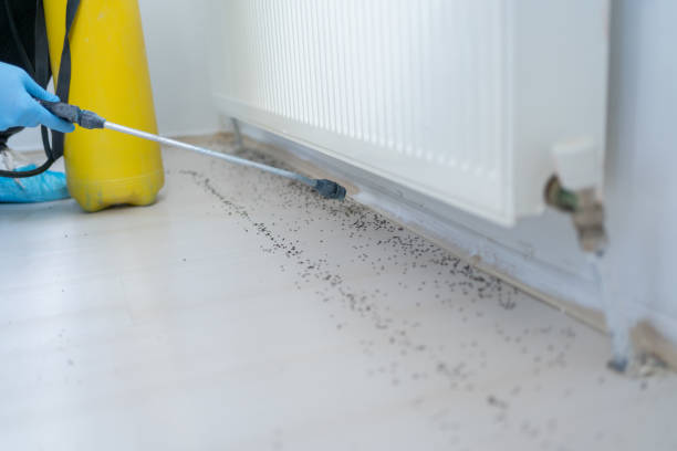 Best Pest Control for Multi-Family Homes  in Venice, IL